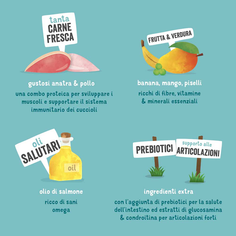 Immagine prodotto 10