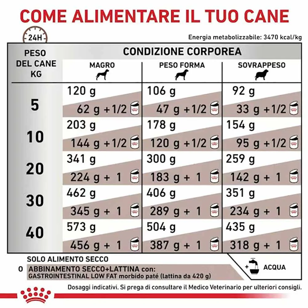 Immagine prodotto 3